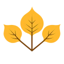 Guanella Guides icon